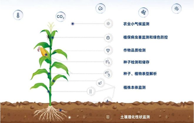 托普云农开盘涨800%！浙江夫妻专注智慧农业收获一个IPO